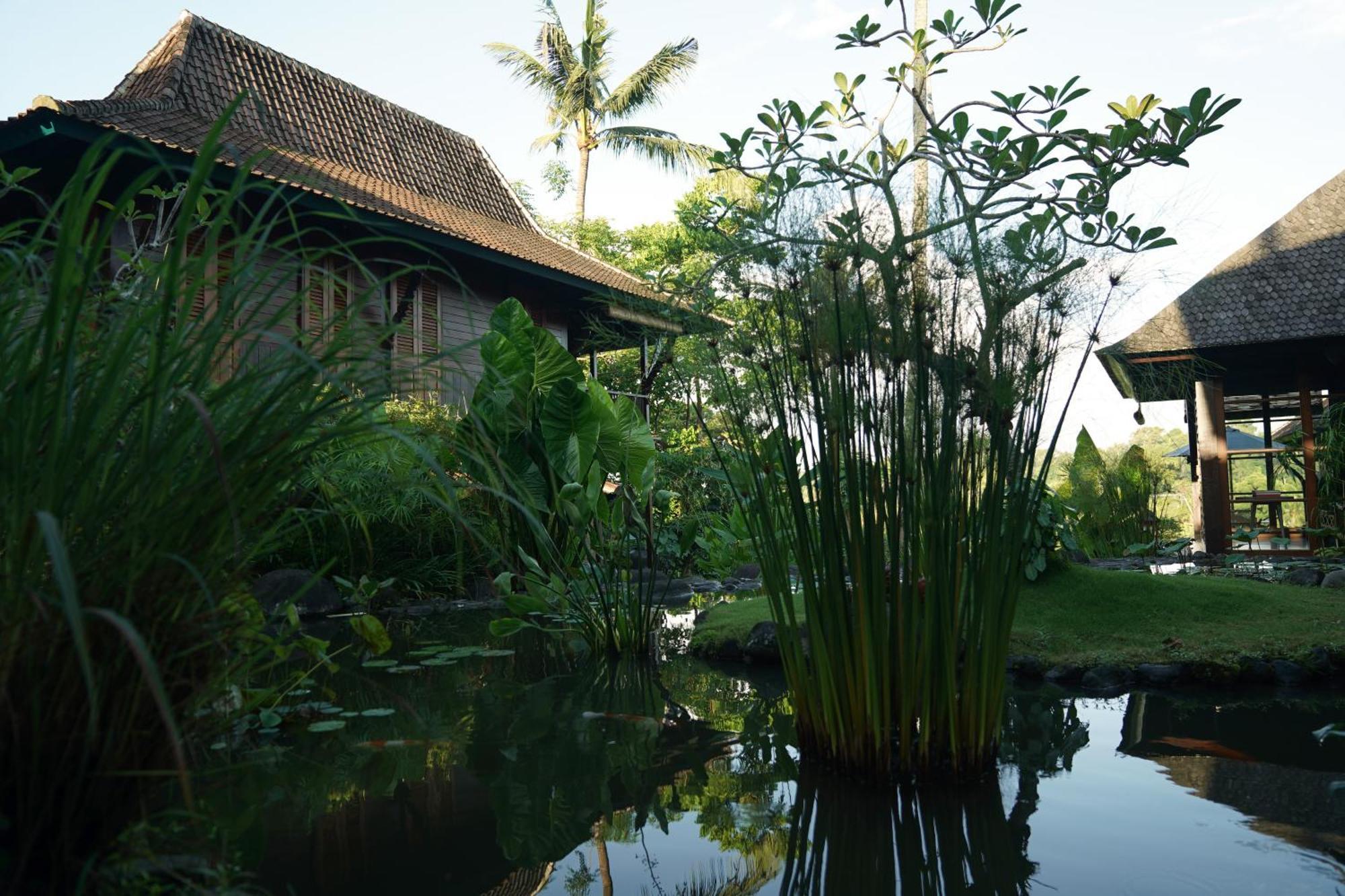 Villa Amaru Ubud Extérieur photo